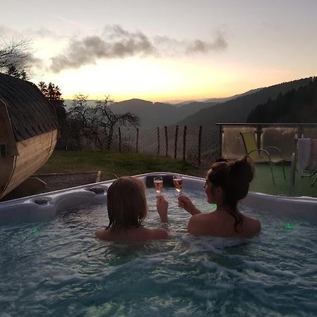 Ferienhaus Wendelinus Mit Pool & Sauna 豪萨赫 外观 照片