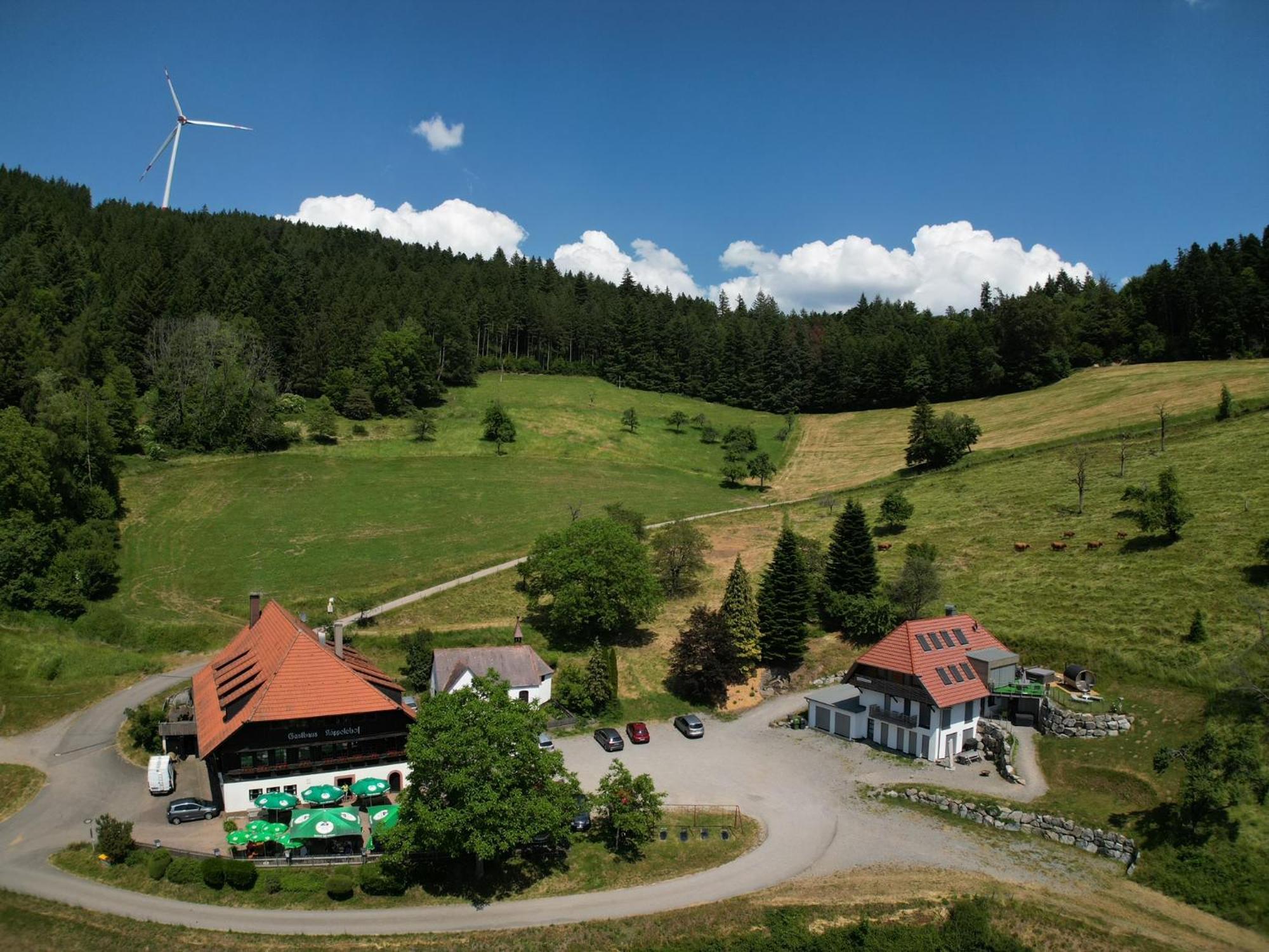 Ferienhaus Wendelinus Mit Pool & Sauna 豪萨赫 外观 照片
