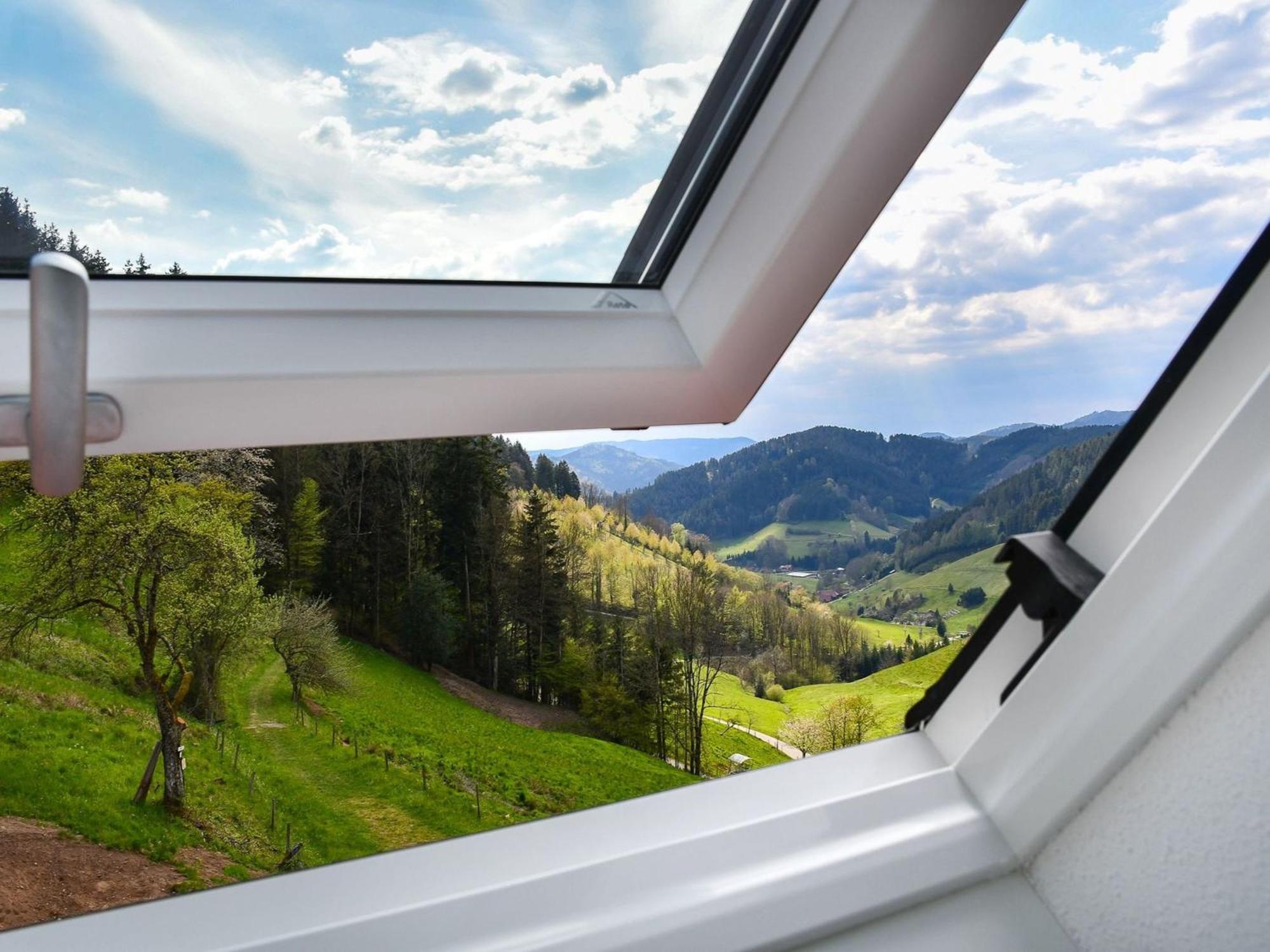 Ferienhaus Wendelinus Mit Pool & Sauna 豪萨赫 外观 照片